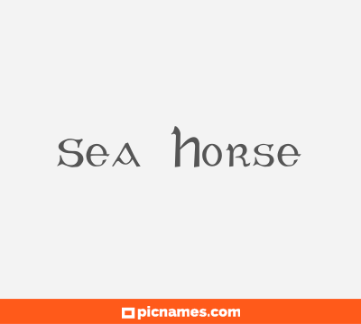 Sea Horse